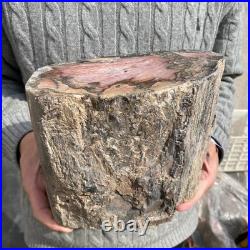 15.8LB Natural petrified wood rough Wood fossil mineral specimen healing energy 15.8LB Natural petrified wood rough Wood fossil mineral specimen healing energy