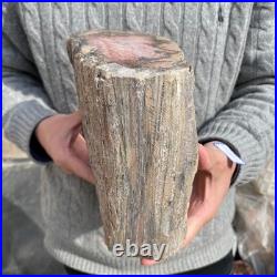 15.8LB Natural petrified wood rough Wood fossil mineral specimen healing energy 15.8LB Natural petrified wood rough Wood fossil mineral specimen healing energy