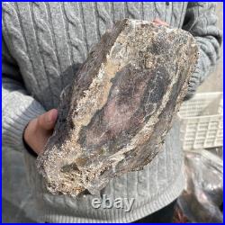 15.8LB Natural petrified wood rough Wood fossil mineral specimen healing energy 15.8LB Natural petrified wood rough Wood fossil mineral specimen healing energy