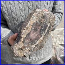 15.8LB Natural petrified wood rough Wood fossil mineral specimen healing energy 15.8LB Natural petrified wood rough Wood fossil mineral specimen healing energy