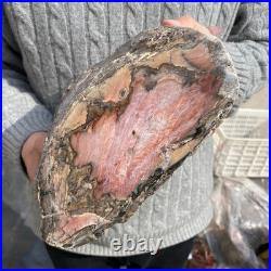 15.8LB Natural petrified wood rough Wood fossil mineral specimen healing energy 15.8LB Natural petrified wood rough Wood fossil mineral specimen healing energy