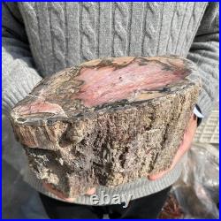 15.8LB Natural petrified wood rough Wood fossil mineral specimen healing energy 15.8LB Natural petrified wood rough Wood fossil mineral specimen healing energy