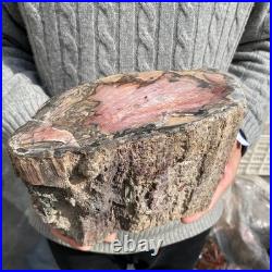 15.8LB Natural petrified wood rough Wood fossil mineral specimen healing energy 15.8LB Natural petrified wood rough Wood fossil mineral specimen healing energy