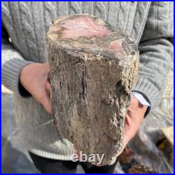 15.8LB Natural petrified wood rough Wood fossil mineral specimen healing energy 15.8LB Natural petrified wood rough Wood fossil mineral specimen healing energy
