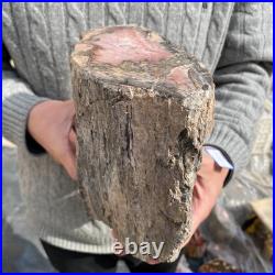 15.8LB Natural petrified wood rough Wood fossil mineral specimen healing energy 15.8LB Natural petrified wood rough Wood fossil mineral specimen healing energy