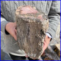 15.8LB Natural petrified wood rough Wood fossil mineral specimen healing energy 15.8LB Natural petrified wood rough Wood fossil mineral specimen healing energy