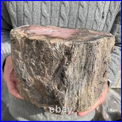 15.8LB Natural petrified wood rough Wood fossil mineral specimen healing energy 15.8LB Natural petrified wood rough Wood fossil mineral specimen healing energy