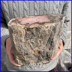 15.8LB Natural petrified wood rough Wood fossil mineral specimen healing energy 15.8LB Natural petrified wood rough Wood fossil mineral specimen healing energy