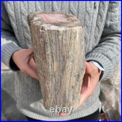 15.8LB Natural petrified wood rough Wood fossil mineral specimen healing energy 15.8LB Natural petrified wood rough Wood fossil mineral specimen healing energy