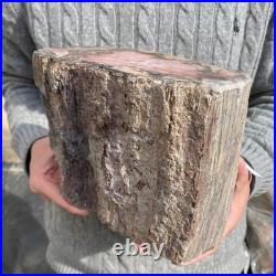 15.8LB Natural petrified wood rough Wood fossil mineral specimen healing energy 15.8LB Natural petrified wood rough Wood fossil mineral specimen healing energy