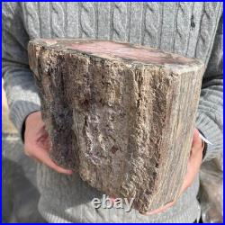 15.8LB Natural petrified wood rough Wood fossil mineral specimen healing energy 15.8LB Natural petrified wood rough Wood fossil mineral specimen healing energy