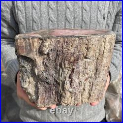 15.8LB Natural petrified wood rough Wood fossil mineral specimen healing energy 15.8LB Natural petrified wood rough Wood fossil mineral specimen healing energy