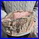 15_8lb_Rare_Natural_petrified_wood_rough_Wood_fossil_mineral_specimen_healing_01_ghof
