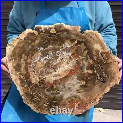 15.97LB Natural Petrified Wood Fossil Crystal Polished Slice Madagascar 2588