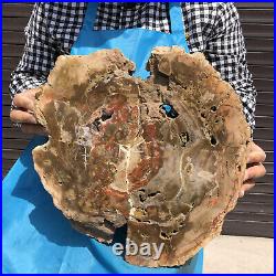 15.9LB Natural Petrified Wood Fossil Crystal Polished Slices Healing HH20
