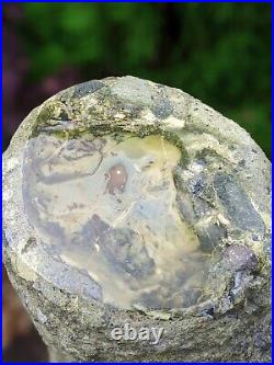 15 kg Opalized Petrified Wood Decoration with a wooden stand