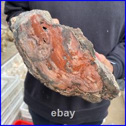 15lb Rare Natural petrified wood rough Wood fossil mineral specimen healing 15lb Rare Natural petrified wood rough Wood fossil mineral specimen healing
