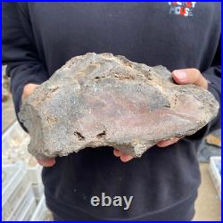 15lb Rare Natural petrified wood rough Wood fossil mineral specimen healing 15lb Rare Natural petrified wood rough Wood fossil mineral specimen healing