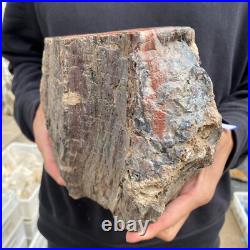15lb Rare Natural petrified wood rough Wood fossil mineral specimen healing 15lb Rare Natural petrified wood rough Wood fossil mineral specimen healing