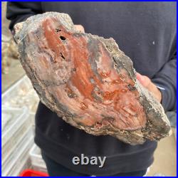 15lb Rare Natural petrified wood rough Wood fossil mineral specimen healing 15lb Rare Natural petrified wood rough Wood fossil mineral specimen healing