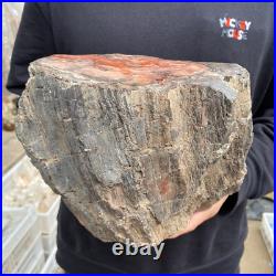 15lb Rare Natural petrified wood rough Wood fossil mineral specimen healing 15lb Rare Natural petrified wood rough Wood fossil mineral specimen healing