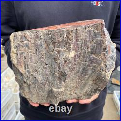 15lb Rare Natural petrified wood rough Wood fossil mineral specimen healing 15lb Rare Natural petrified wood rough Wood fossil mineral specimen healing