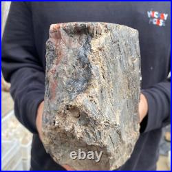 15lb Rare Natural petrified wood rough Wood fossil mineral specimen healing 15lb Rare Natural petrified wood rough Wood fossil mineral specimen healing