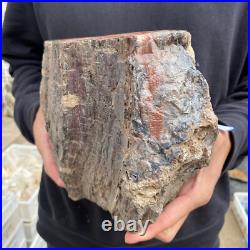 15lb Rare Natural petrified wood rough Wood fossil mineral specimen healing 15lb Rare Natural petrified wood rough Wood fossil mineral specimen healing