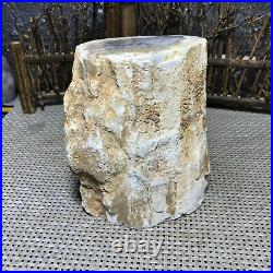 1640g Beautiful Polished Petrified Wood Crystal Slice Madagascar 6499
