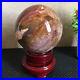 1650g_NATURAL_PRETTY_Petrified_Wood_Crystal_ball_Healing_md1301_01_eki