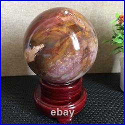 1650g NATURAL PRETTY Petrified Wood Crystal ball Healing md1301