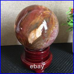 1650g NATURAL PRETTY Petrified Wood Crystal ball Healing md1301