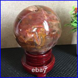 1650g NATURAL PRETTY Petrified Wood Crystal ball Healing md1301