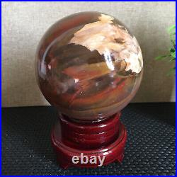 1650g NATURAL PRETTY Petrified Wood Crystal ball Healing md1301