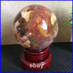 1650g NATURAL PRETTY Petrified Wood Crystal ball Healing md1301