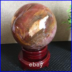 1650g NATURAL PRETTY Petrified Wood Crystal ball Healing md1301