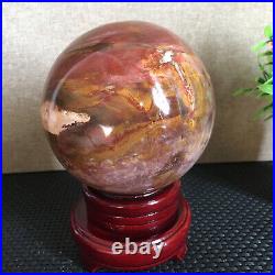 1650g NATURAL PRETTY Petrified Wood Crystal ball Healing md1301