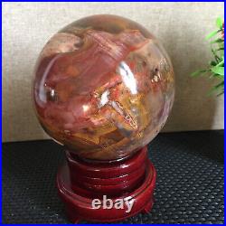 1650g NATURAL PRETTY Petrified Wood Crystal ball Healing md1301