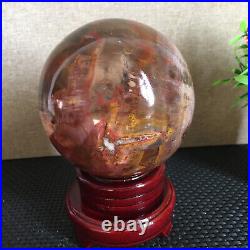 1650g NATURAL PRETTY Petrified Wood Crystal ball Healing md1301