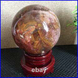 1650g NATURAL PRETTY Petrified Wood Crystal ball Healing md1301