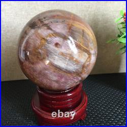 1650g NATURAL PRETTY Petrified Wood Crystal ball Healing md1301