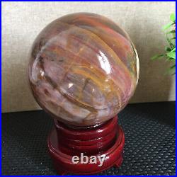 1650g NATURAL PRETTY Petrified Wood Crystal ball Healing md1301