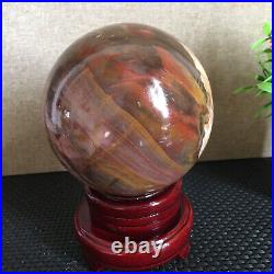 1650g NATURAL PRETTY Petrified Wood Crystal ball Healing md1301