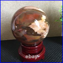 1650g NATURAL PRETTY Petrified Wood Crystal ball Healing md1301