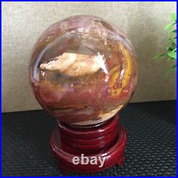 1650g NATURAL PRETTY Petrified Wood Crystal ball Healing md1301