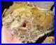 1650gr_Rare_Fossil_Petrified_Wood_Opalized_Natural_Large_Rough_Slab_Specimen_01_zee