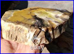 1650gr Rare Fossil Petrified Wood Opalized, Natural Large Rough Slab Specimen 1650gr Rare Fossil Petrified Wood Opalized, Natural Large Rough Slab Specimen