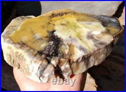 1650gr Rare Fossil Petrified Wood Opalized, Natural Large Rough Slab Specimen 1650gr Rare Fossil Petrified Wood Opalized, Natural Large Rough Slab Specimen