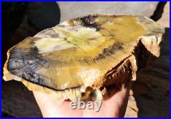 1650gr Rare Fossil Petrified Wood Opalized, Natural Large Rough Slab Specimen 1650gr Rare Fossil Petrified Wood Opalized, Natural Large Rough Slab Specimen
