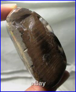165 gram Opalized wood fossil Virgin Valley opal Miocene Denio, NV fossil